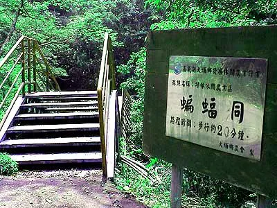 坪林風景區