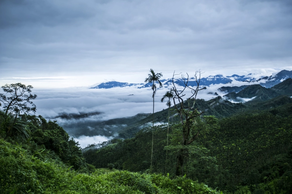 風景