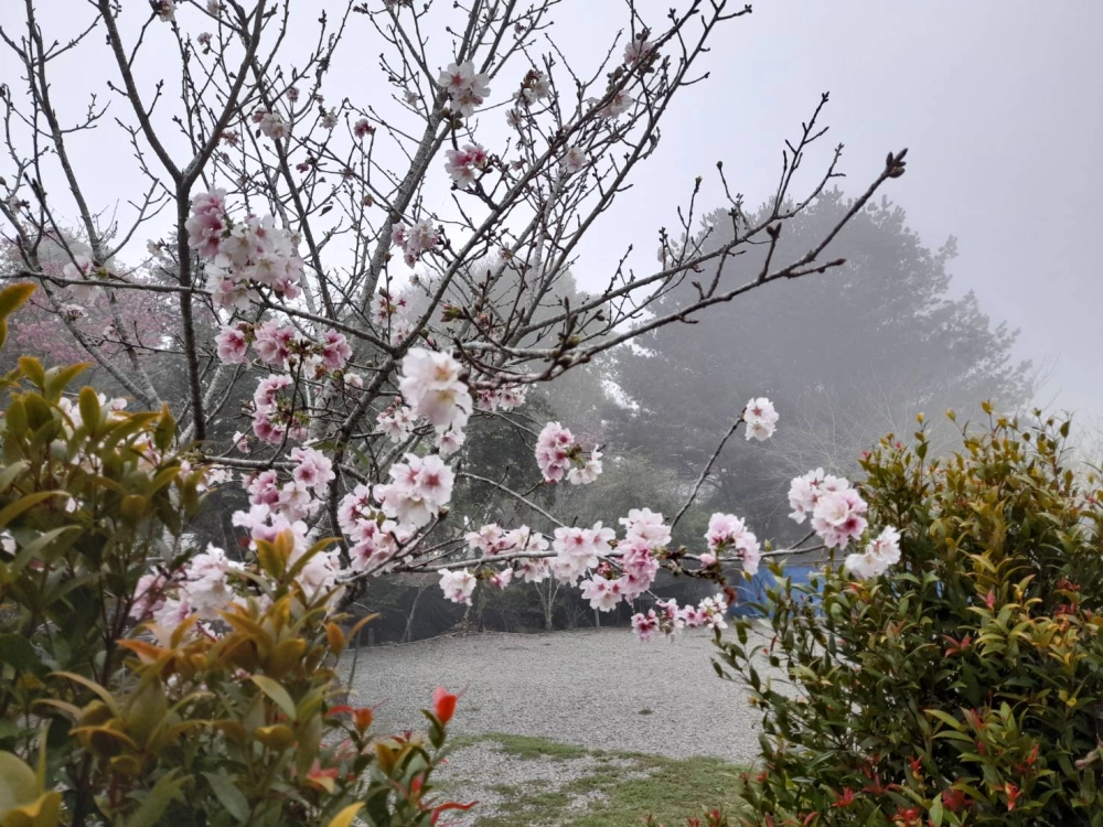汪爸露營區