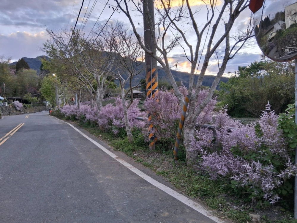 汪爸露營區