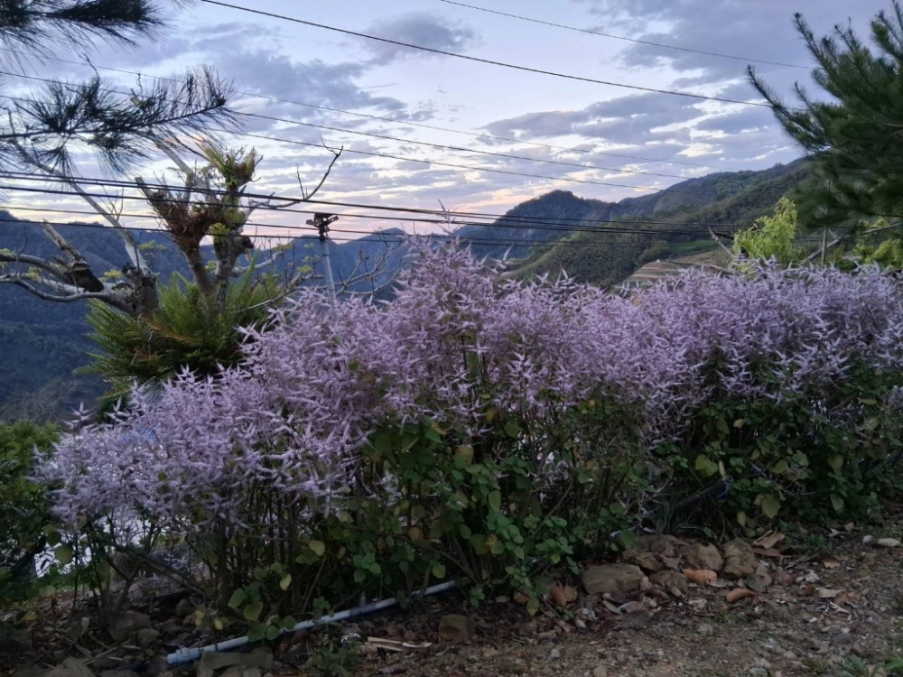 汪爸露營區