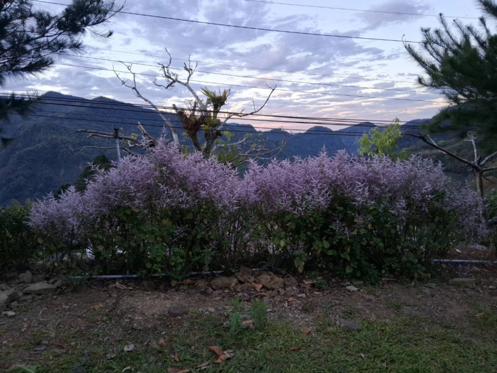 汪爸露營區