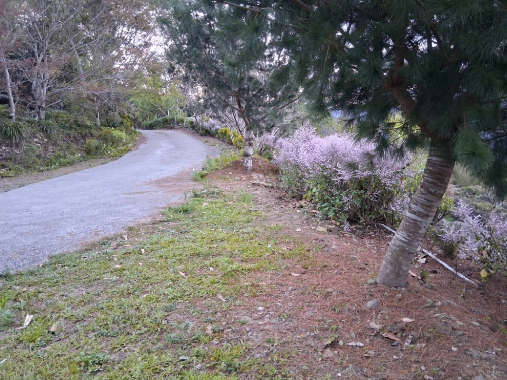 汪爸露營區