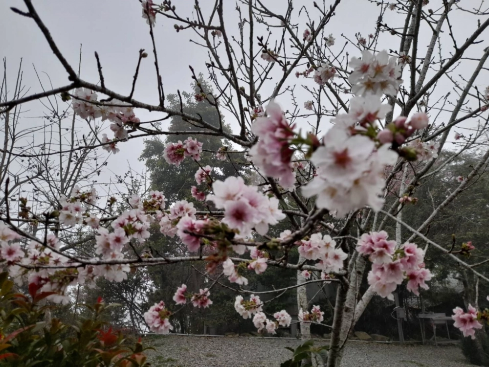 汪爸露營區