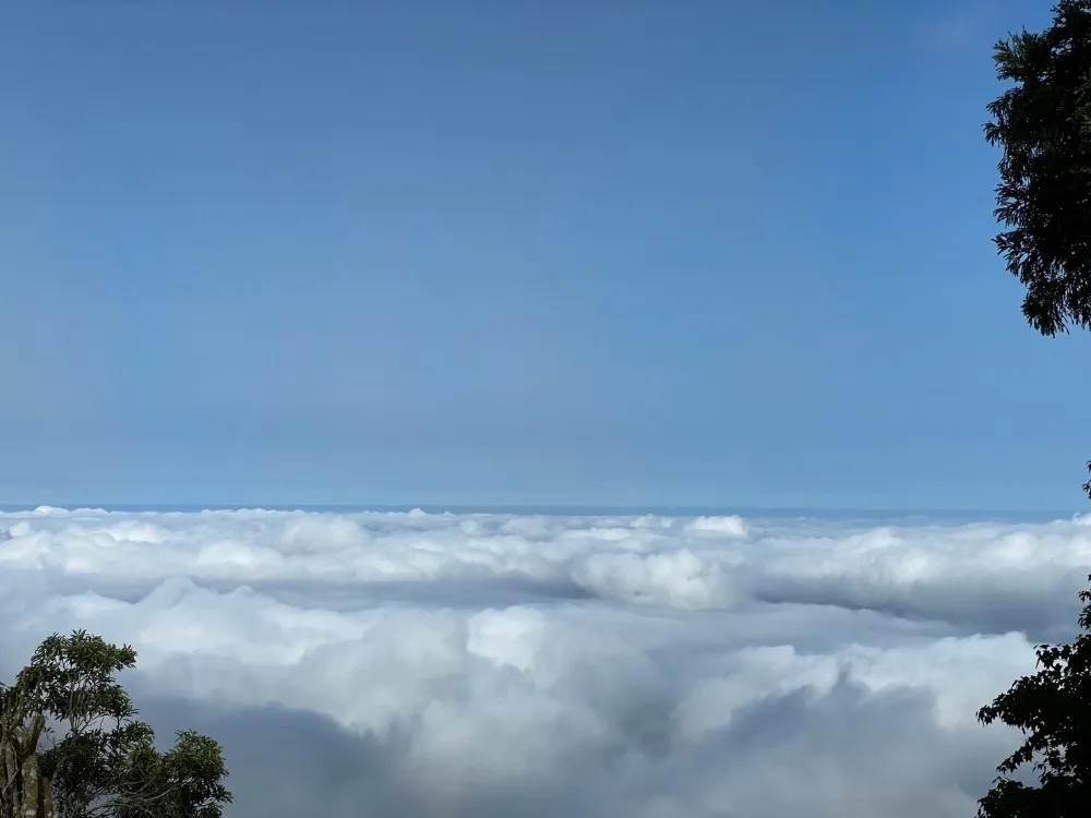 雲灣區（新開發區） 