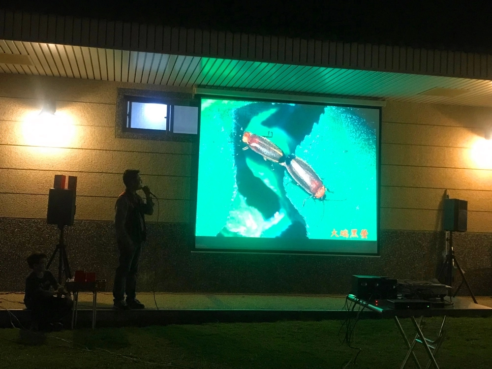 螢火蟲導覽