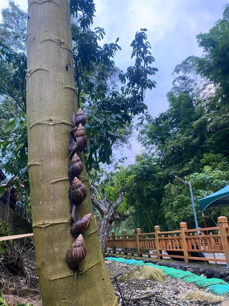 生態環境