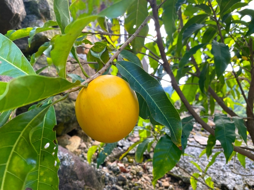 生態環境