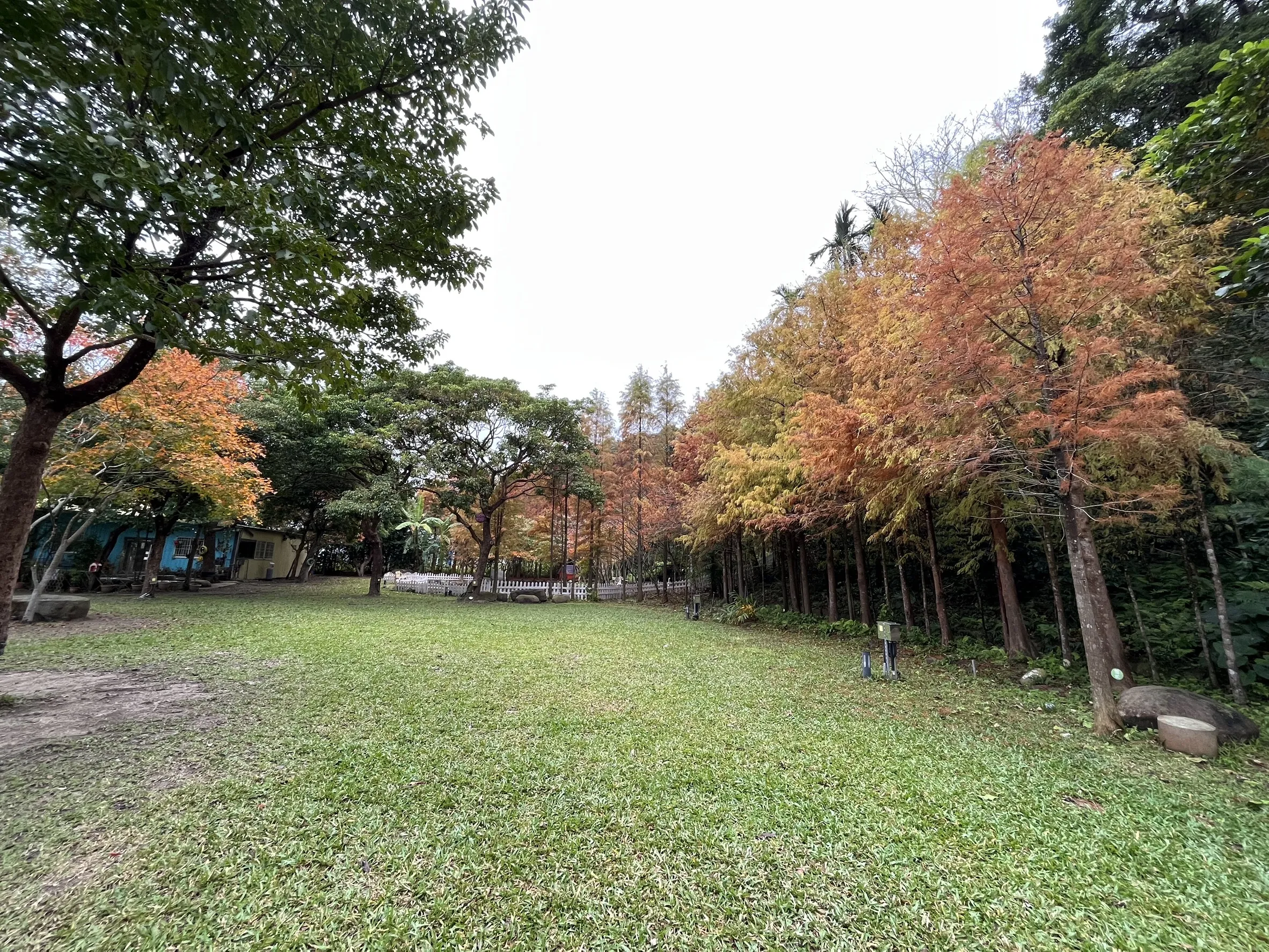 包棟5間4人房