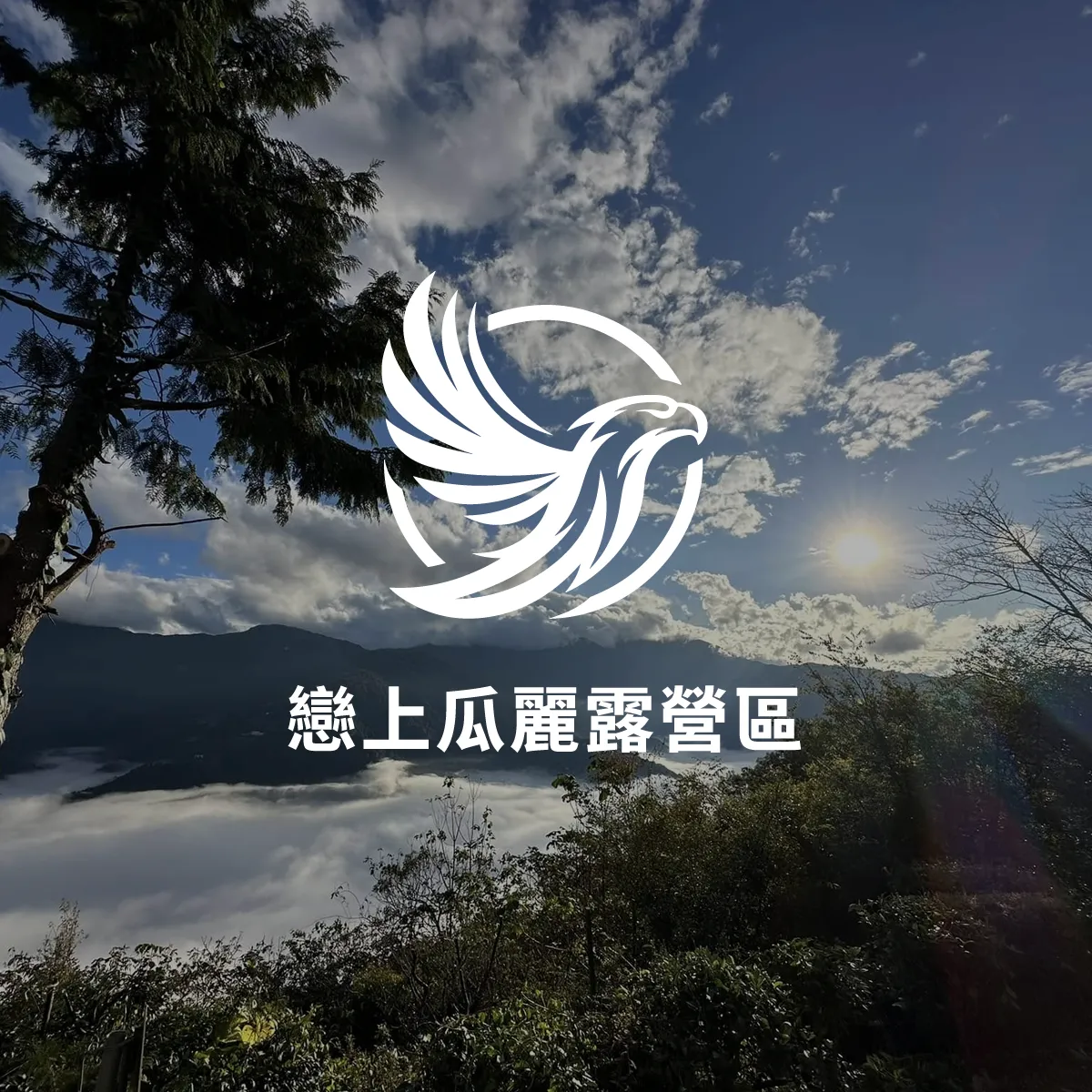 香菇
