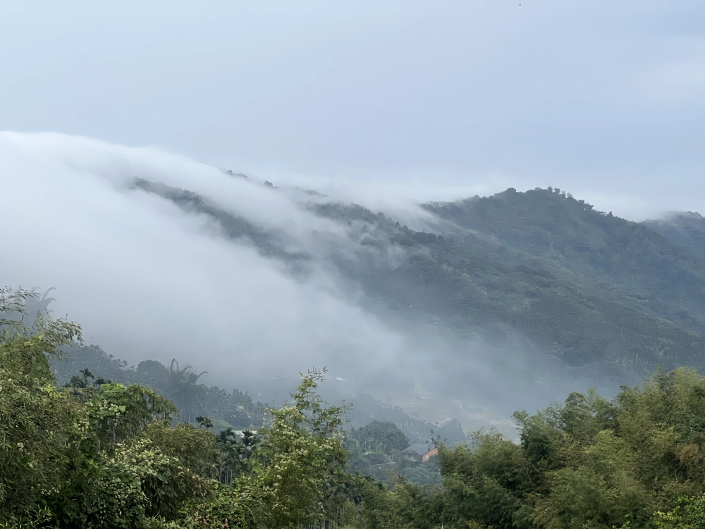 雲海