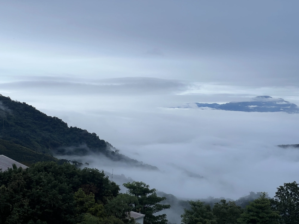 雲海