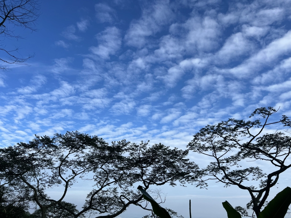 風景