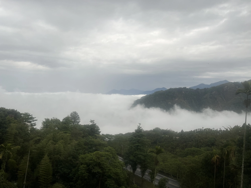 雲海