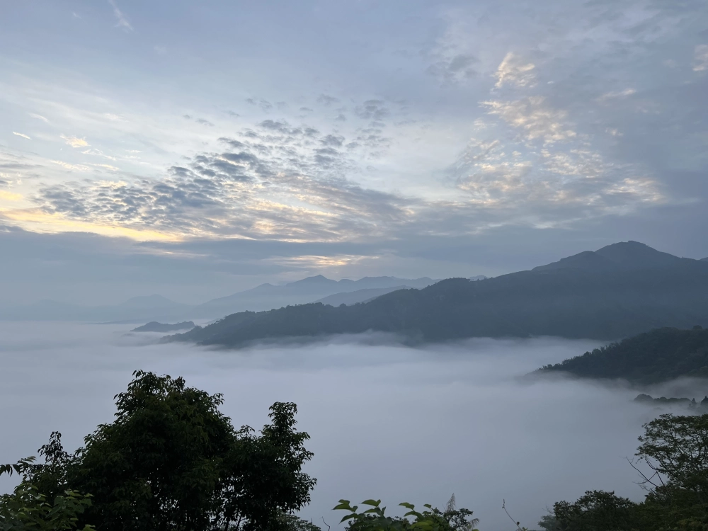雲海