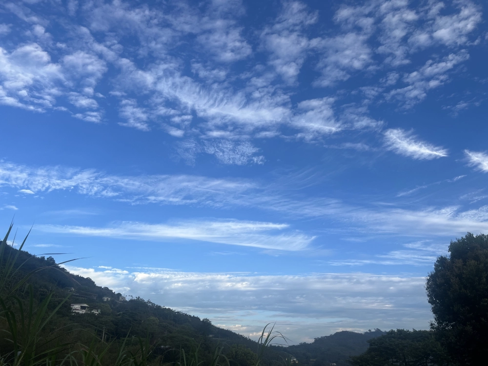 風景