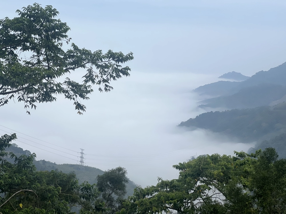 雲海