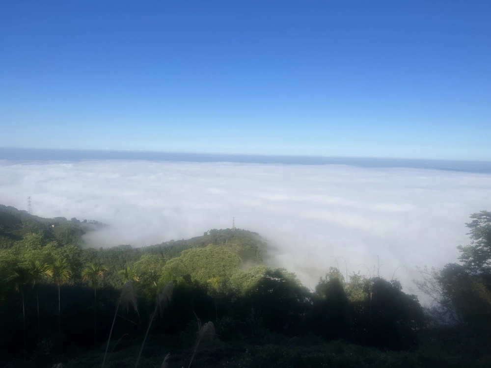雲海
