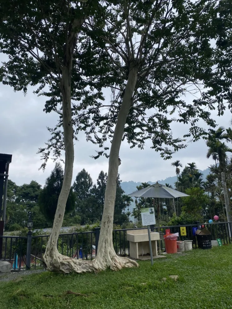 露友FB打卡分享