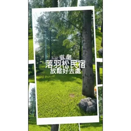 【宜蘭落羽松民宿】｜把假期留給最重要的人