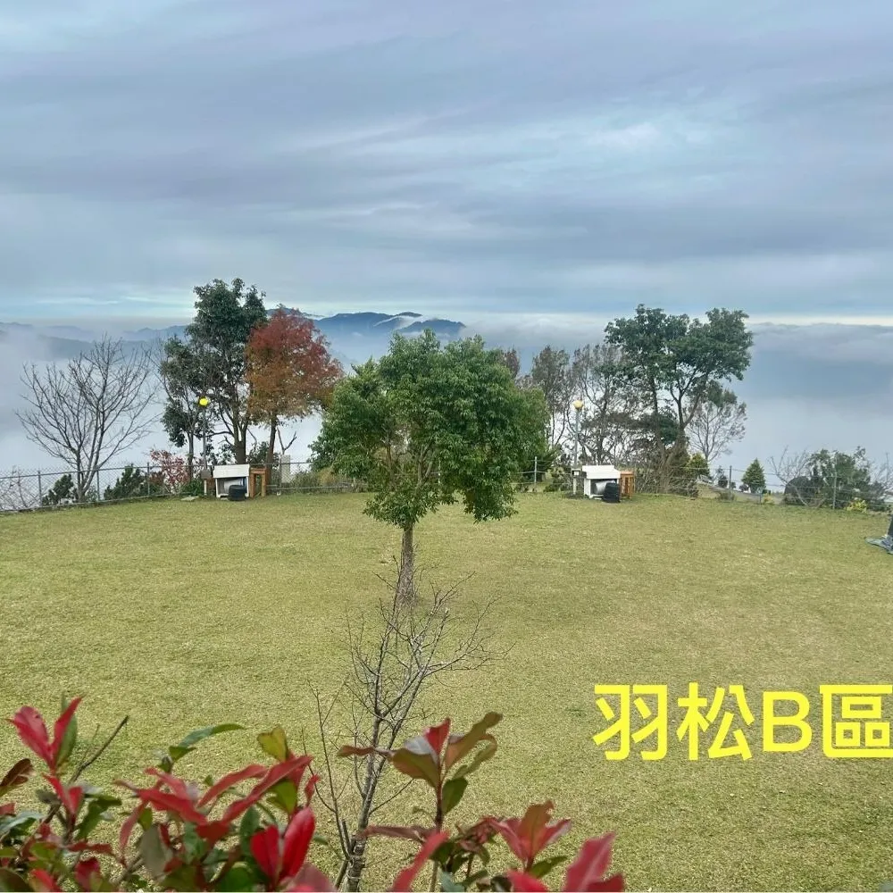 羽松B區-6帳包區