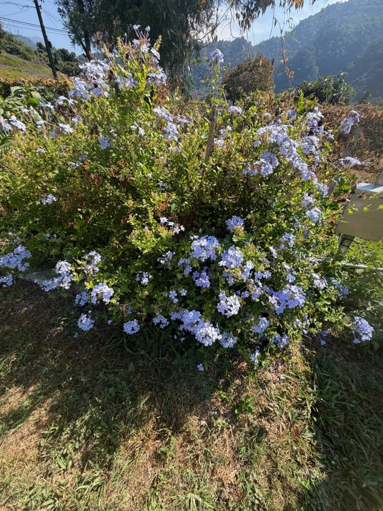 營區環境