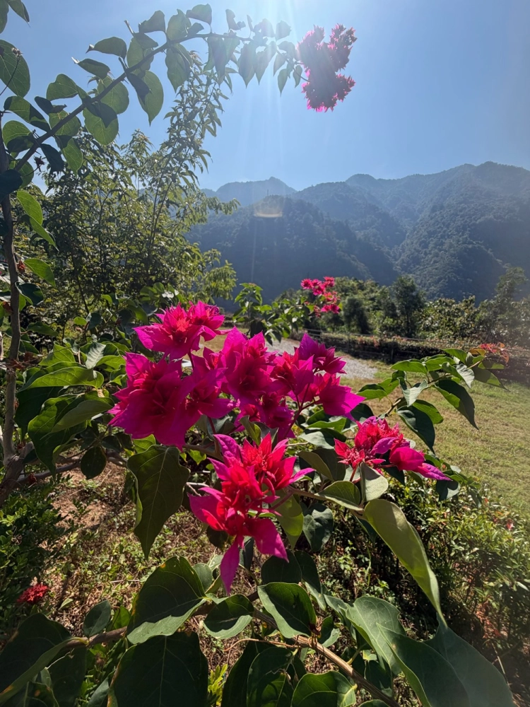 營區環境