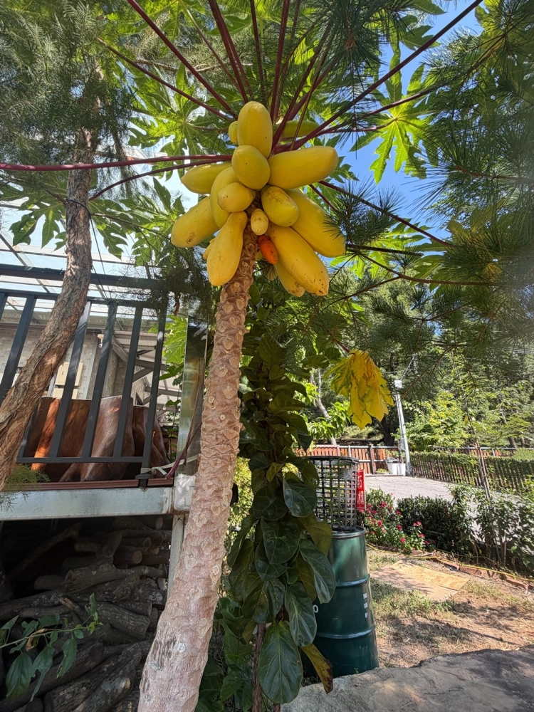 營區環境
