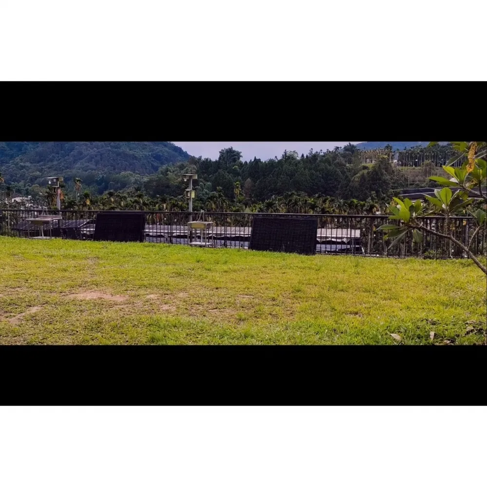 C區草地帳