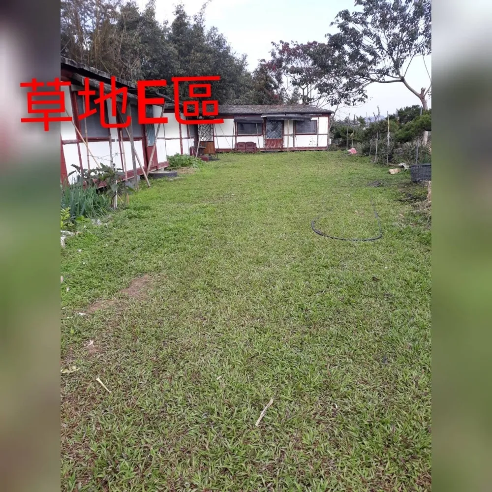 草地E區