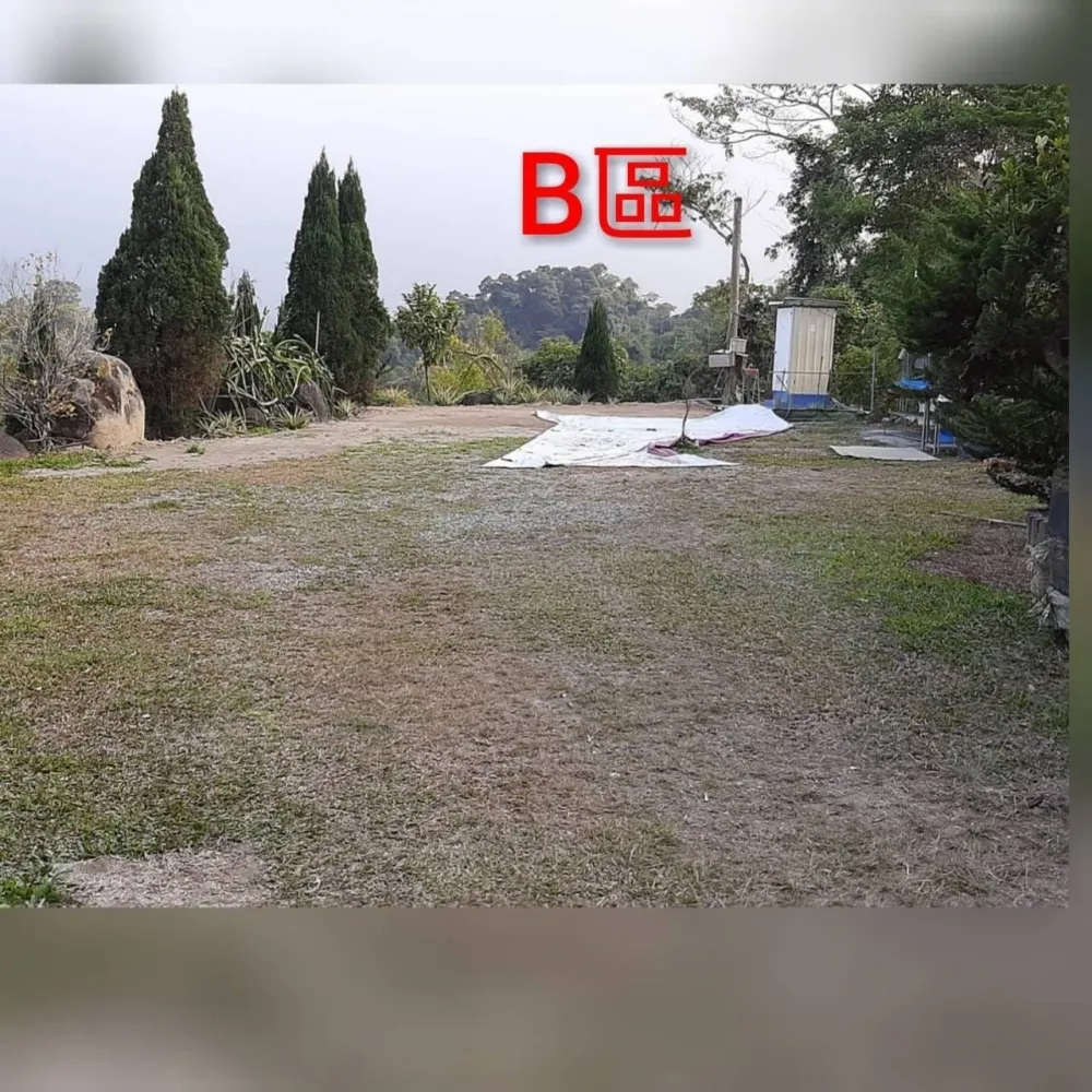 草地B區