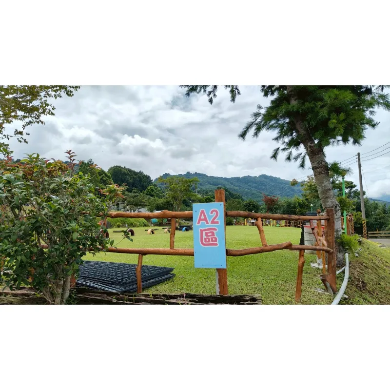 草皮A2