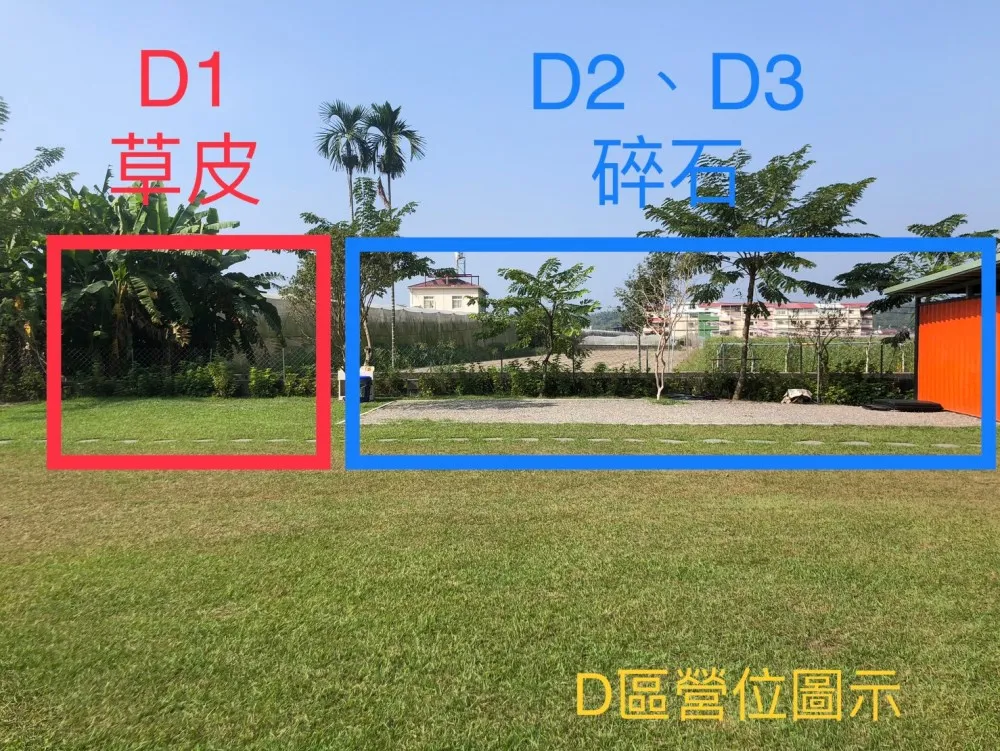 D1(草皮區)