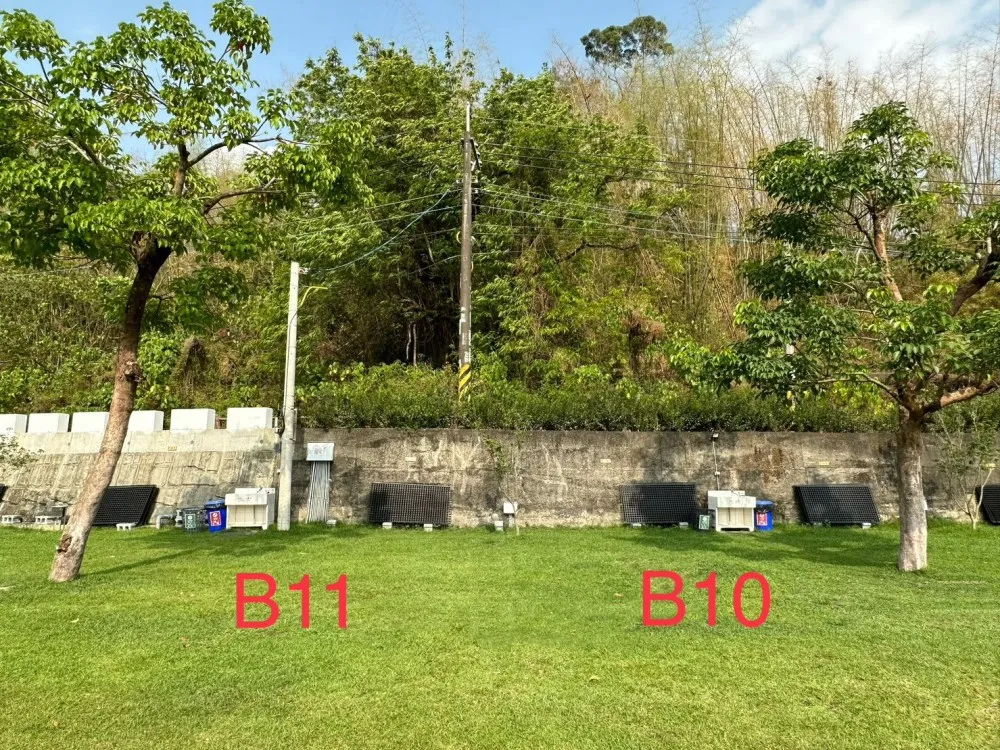 B11