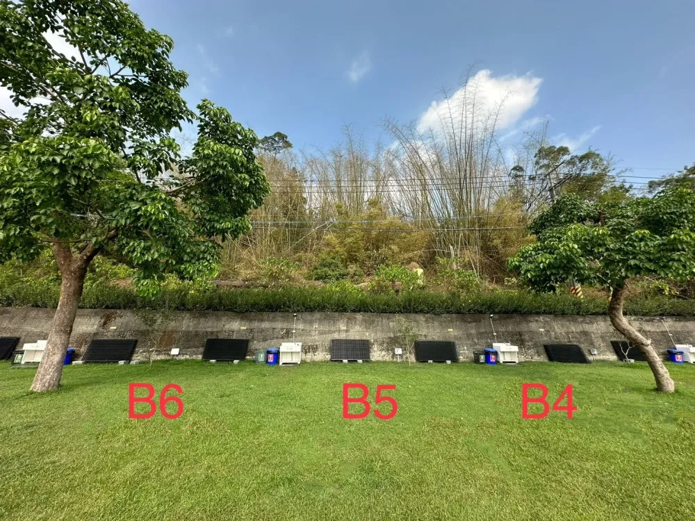 B6