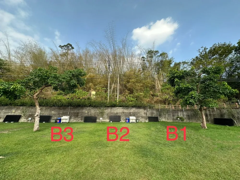 B3