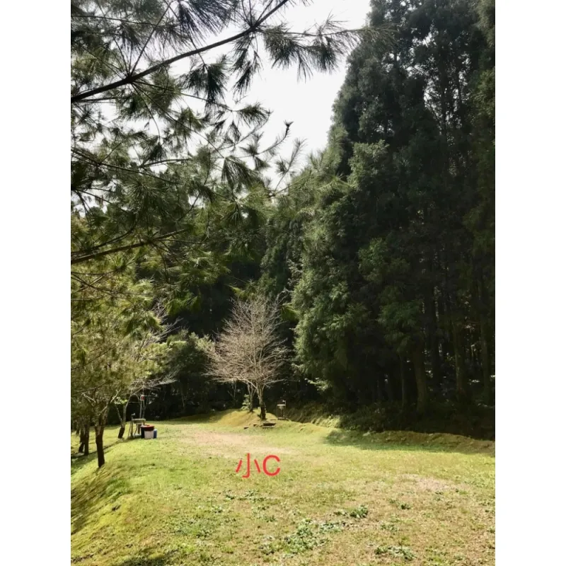 小C區