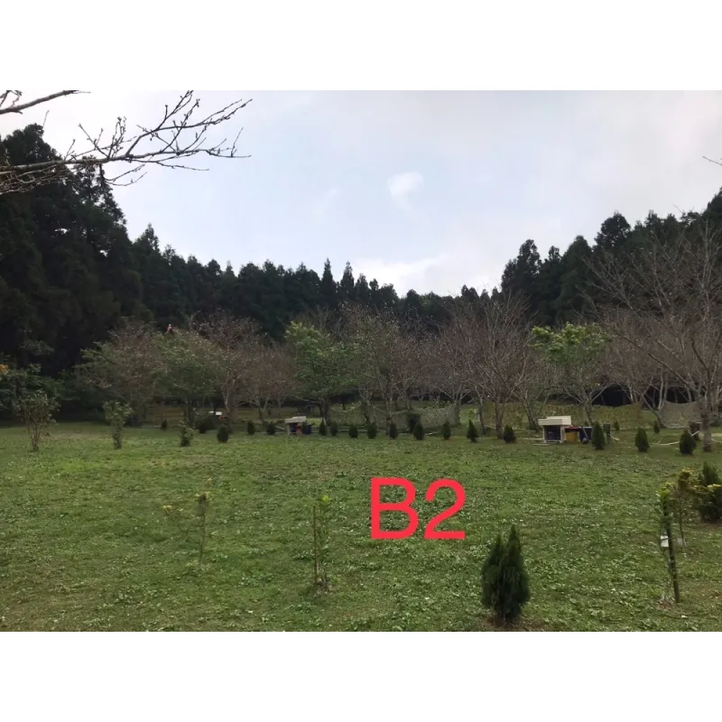 B2