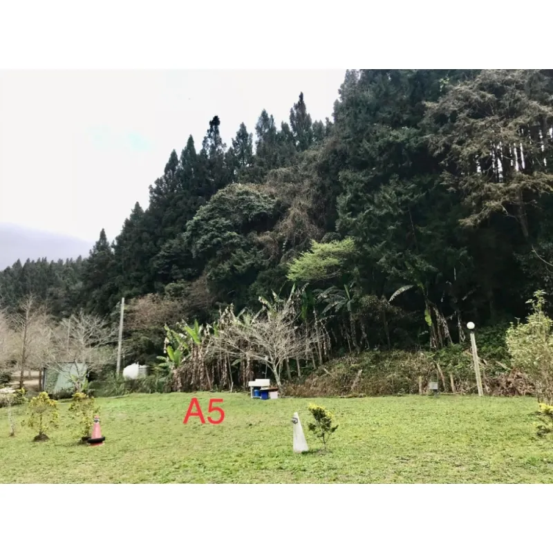 A5