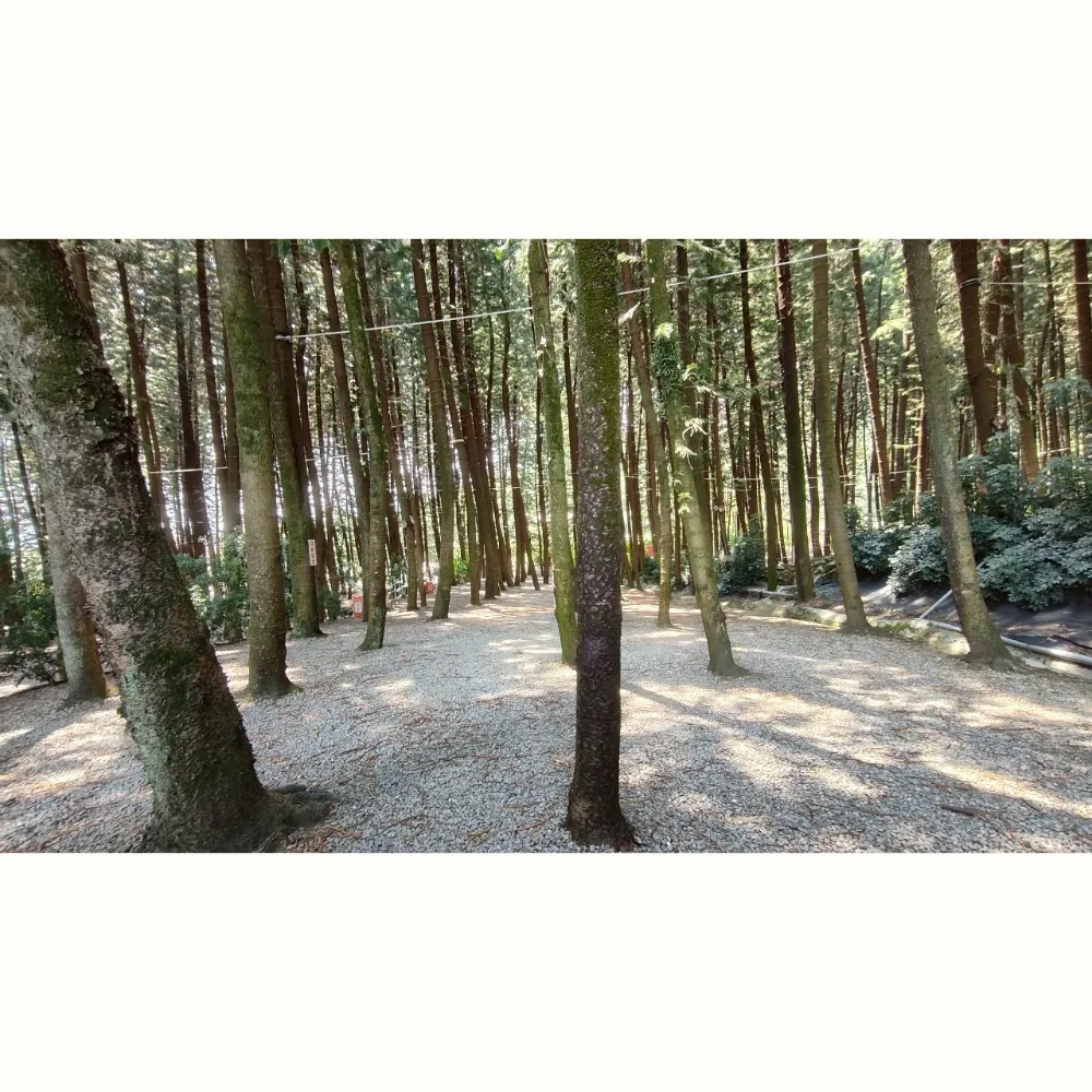 C區小營位（不指定營位）