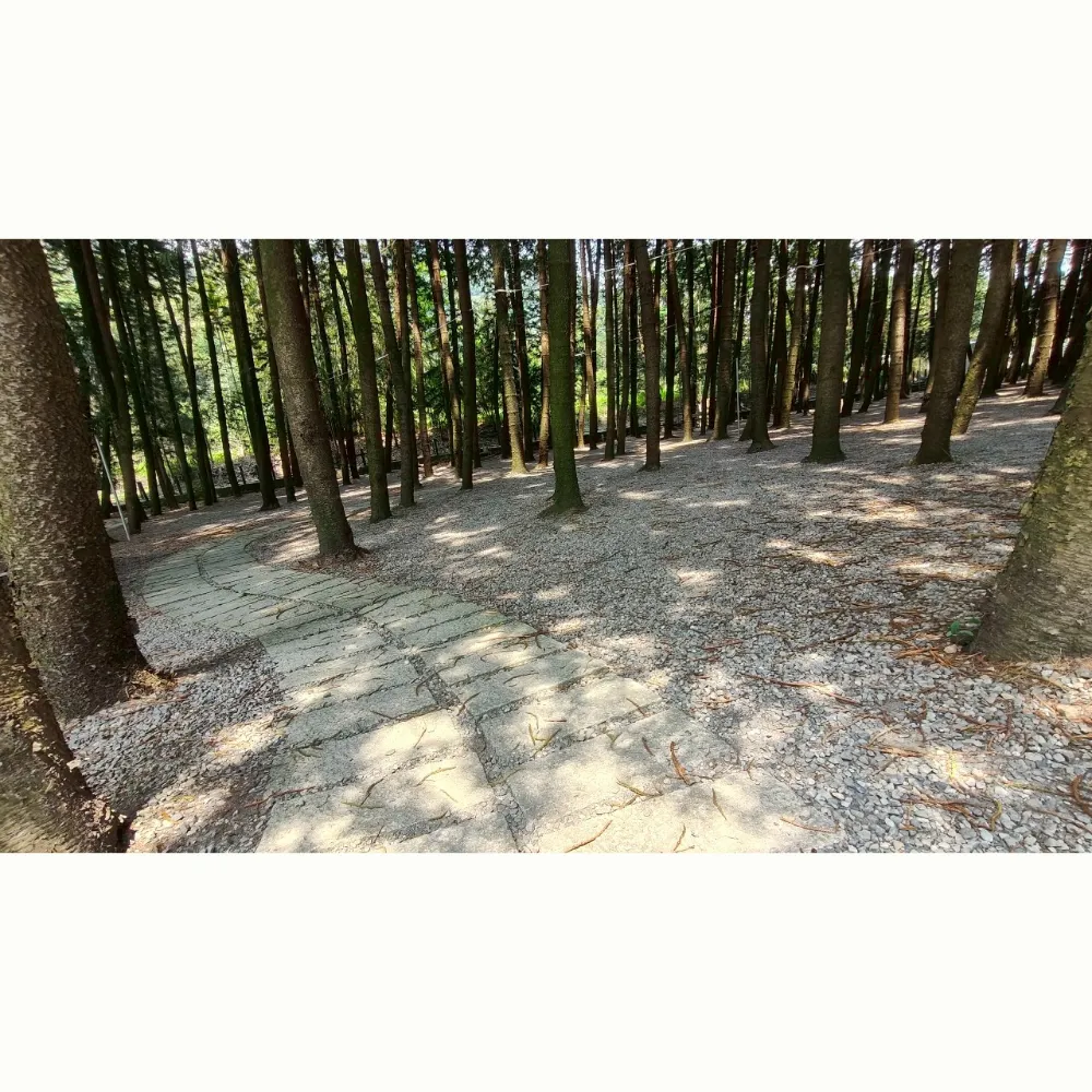 E10至E12區大營位（不指定營位）