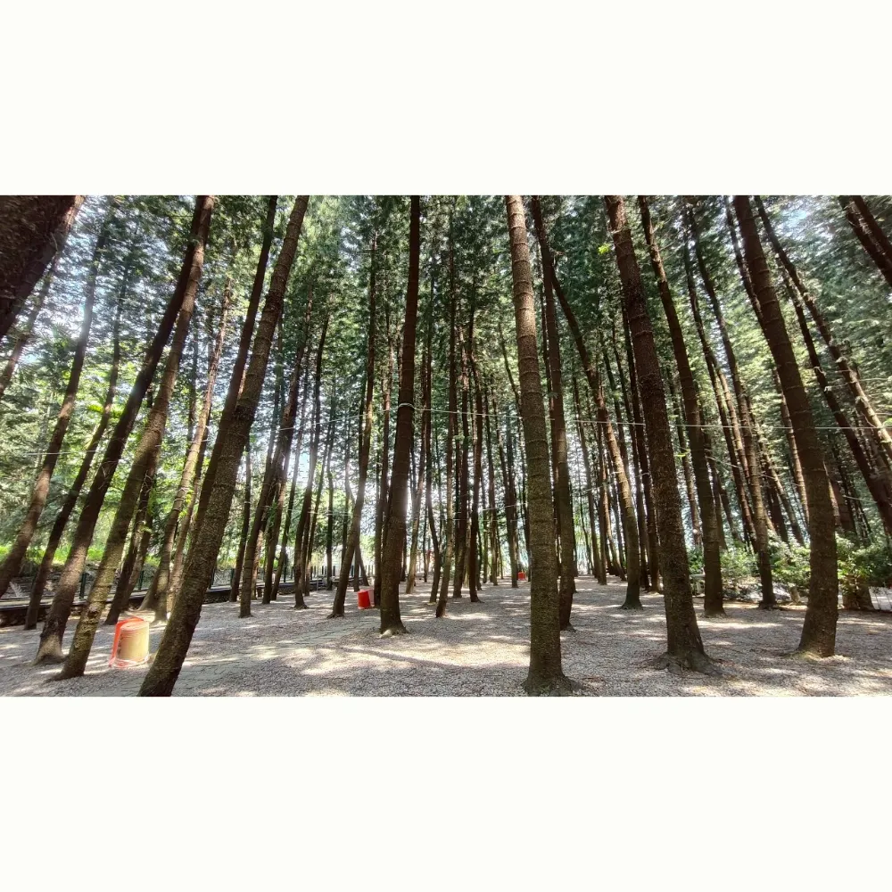 F10至F13區（不指定營位）