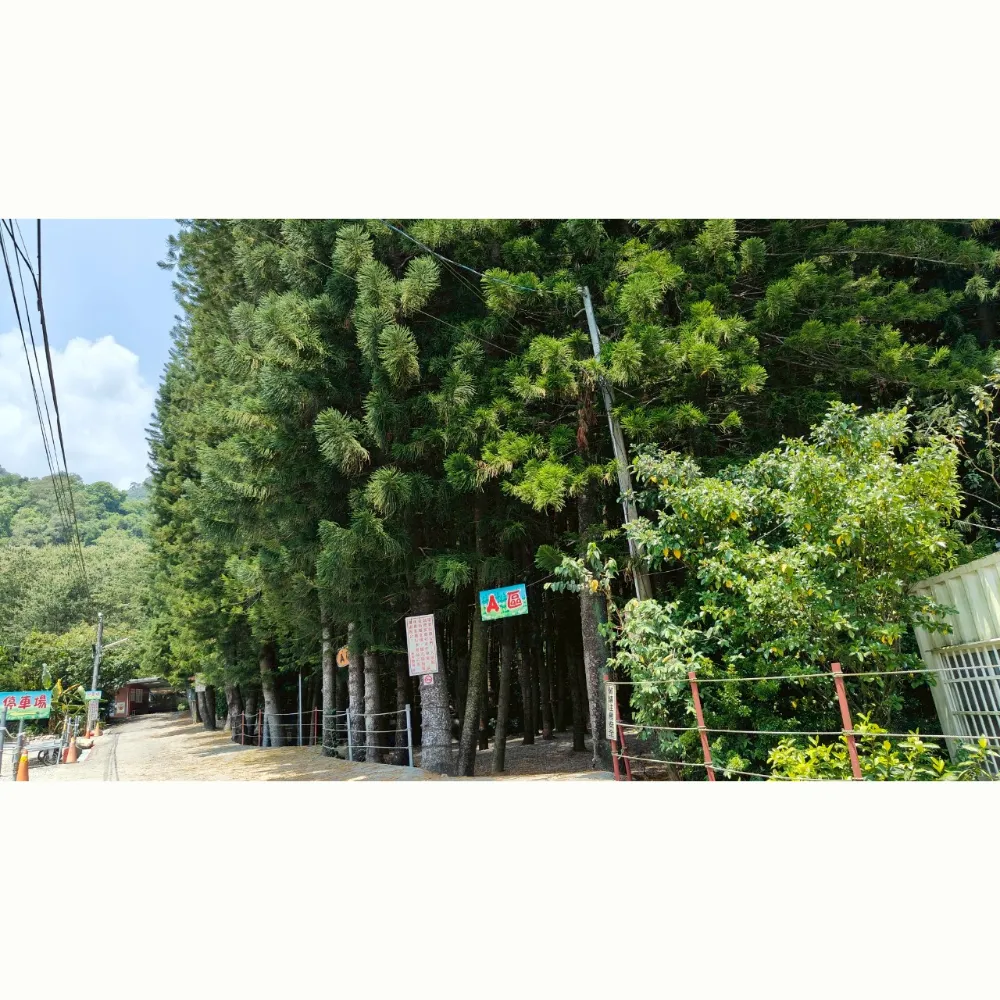 A1（4帳包區）