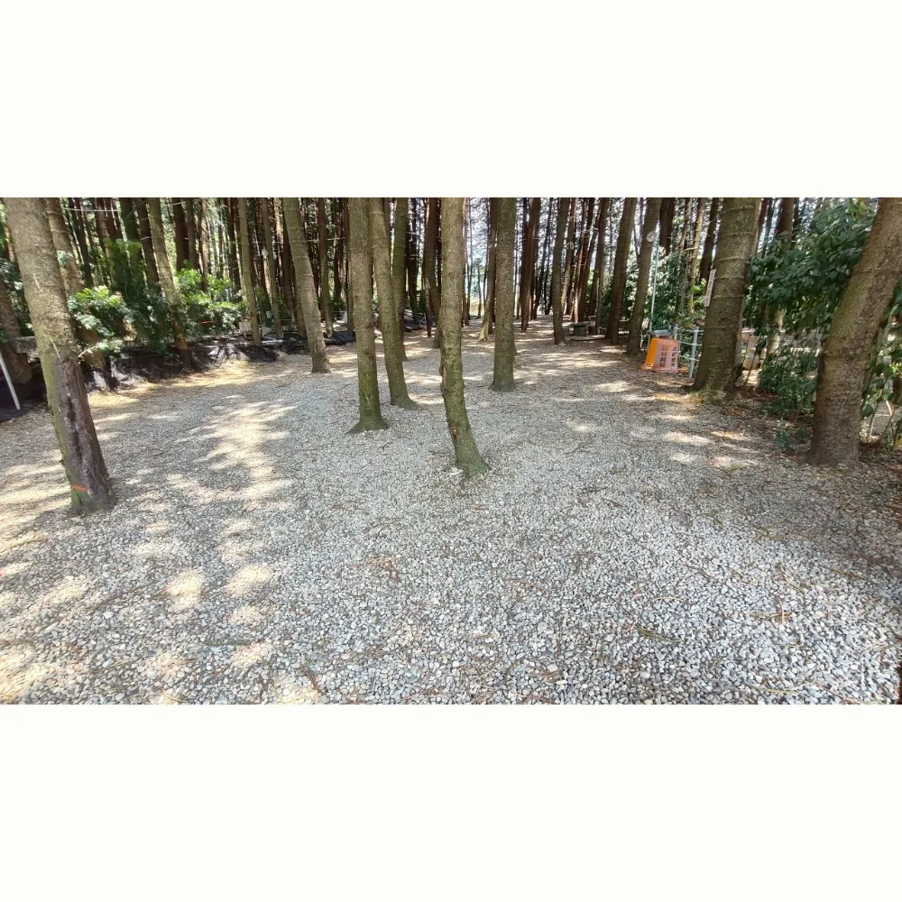 B區小營位（不指定營位）