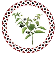 斯瓦細格部落
