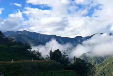 露友照片