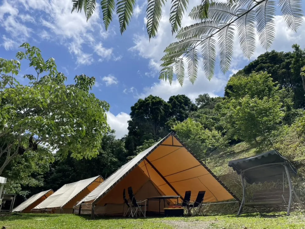 樹語楓晴 TreeStar Camp｜北歐鐘型帳懶人露營體驗
