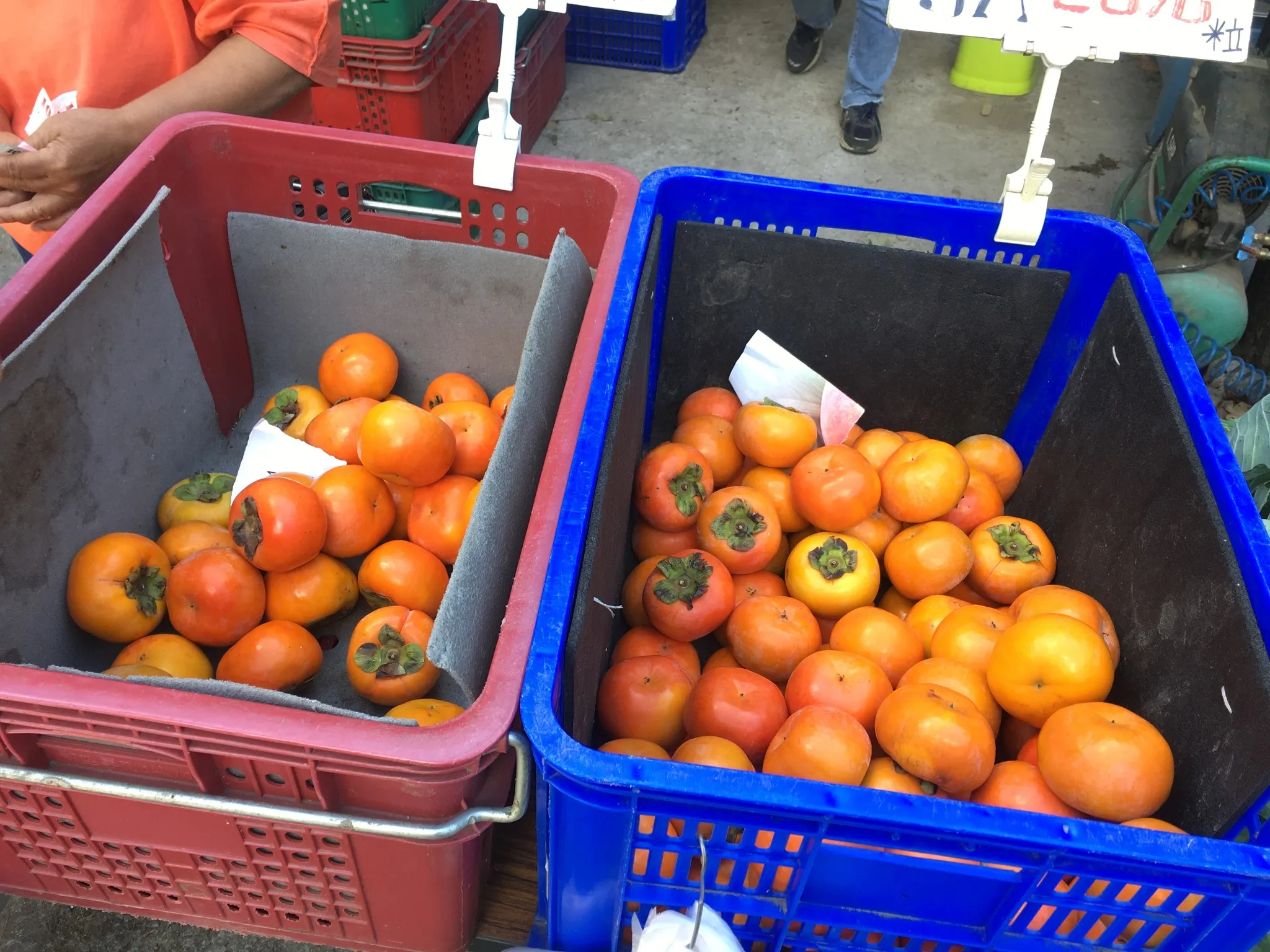 甜柿