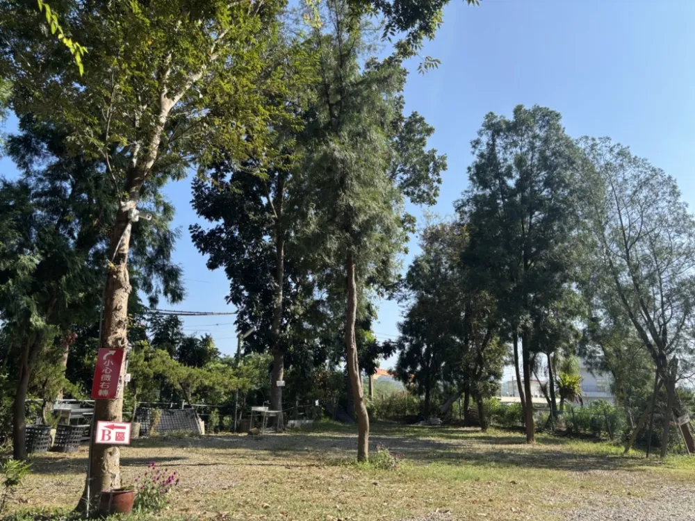 A11