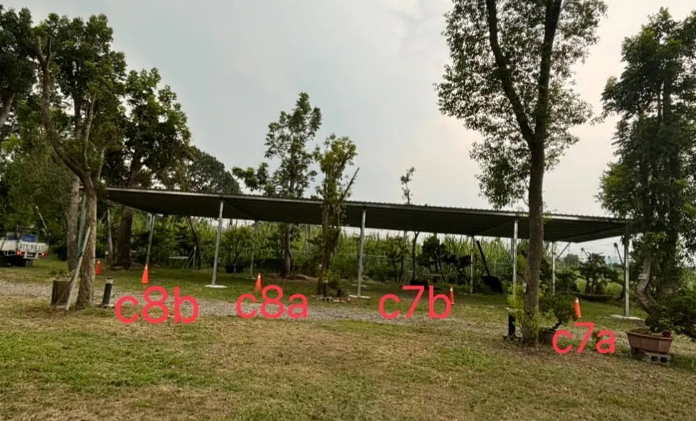 C7A-C8B